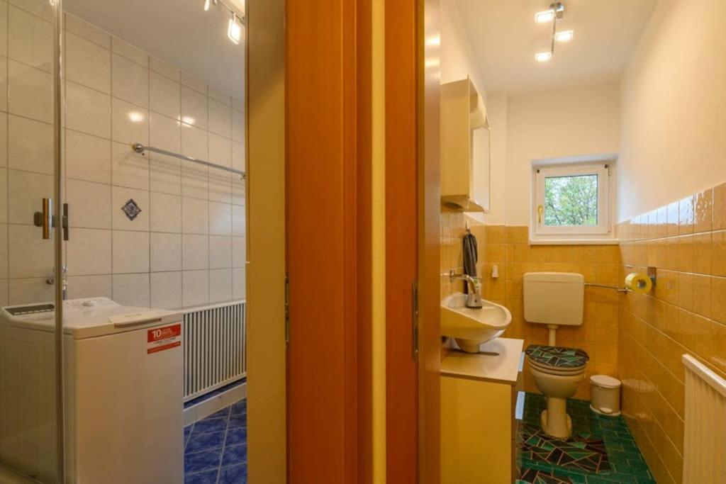 Family Apartment バート・ゴイーザーン エクステリア 写真