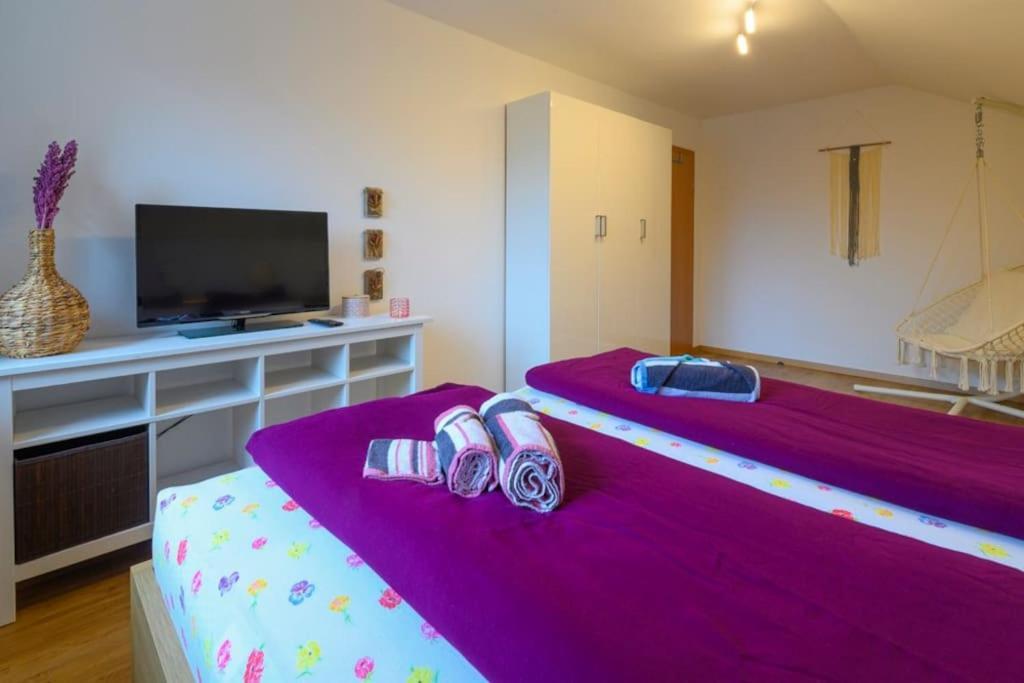 Family Apartment バート・ゴイーザーン エクステリア 写真