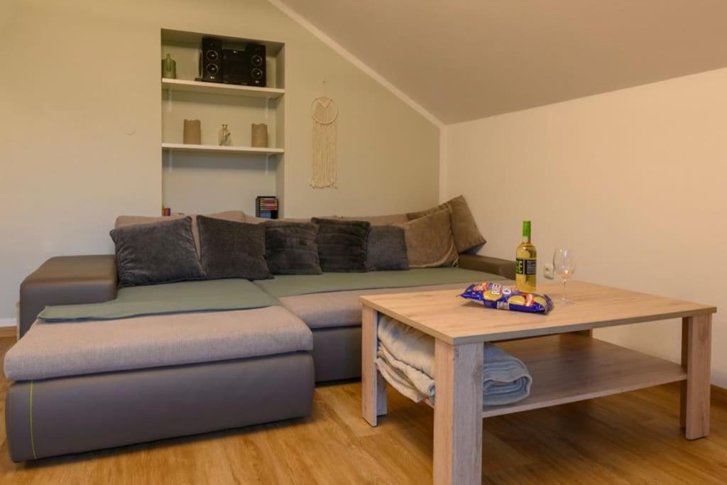 Family Apartment バート・ゴイーザーン エクステリア 写真